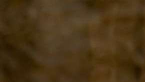 El cocodrilo emergió de las aguas durante el bautizo.