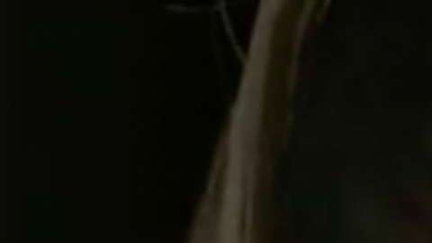 Ninel Conde en "El Señor de los Cielos"