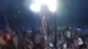 El oso descargó su furia contra un hombre que lo golpeó.