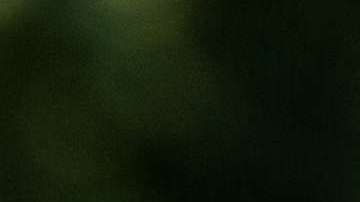 Las picaduras de las garrapatas de patas negras pueden transmitir la enfermedad de Lyme.