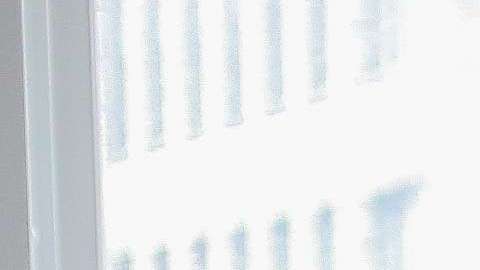 Reunión de Pipeline Angels./ Cortesía, Kat Araujo