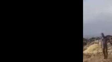 Los pollitos salían de todos lados del basurero.