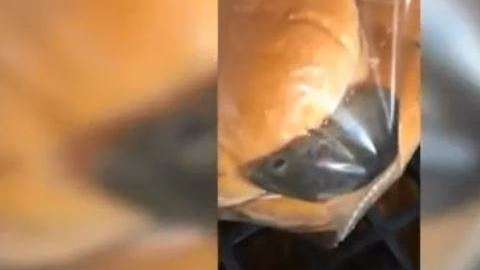 El ratón estaba muy cómodo entre un bollo.