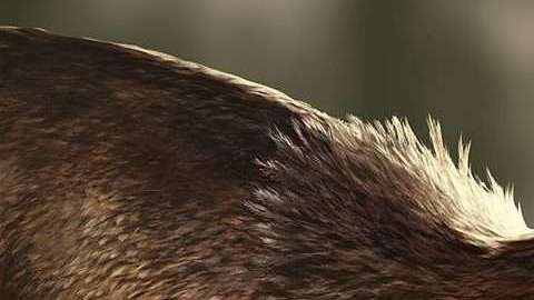 Las lenguas de los T. rex estaban fijadas al fondo de la boca.