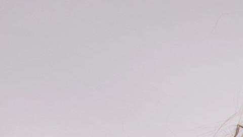 La angelina Rosie Mercado, de origen mexicano, ha sabido aprovechar sus desventuras para hacer cambios positivos en su vida personal y profesional.