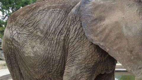 Ruperta murió en junio de 2018