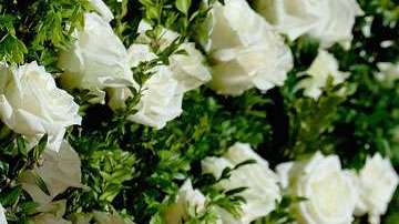 Scarlett Johansson niega los rumores.