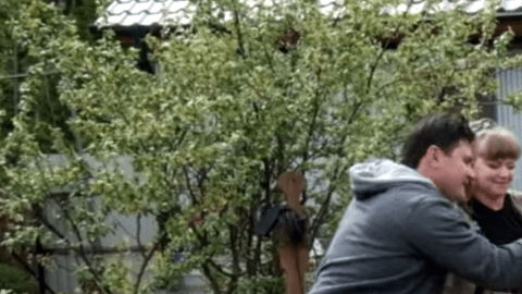 Este oso está totalmente domesticado