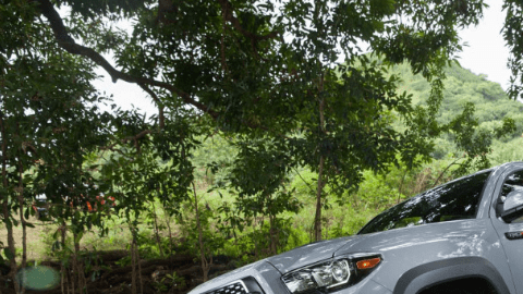 Toyota encabeza este rubro.