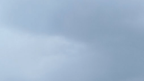 El protagonista de esta historia es un perro con muchas más virtudes que defectos.