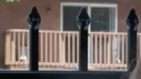 Jennifer Potter salvó a una madre embarazada y a su hijo de morir ahogados.