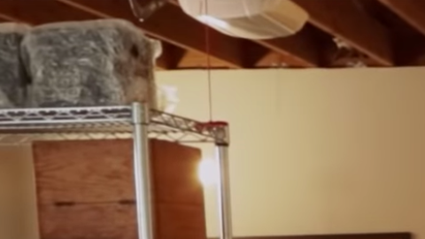 Moby vende su colección de discos por una causa en defensa de los animales.