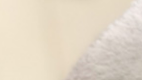 El corte de pelo de este perrito está causando furor en las redes.