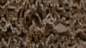 Los reptiles son capaces de sobrevivir días bajo duras condiciones y sin comida.