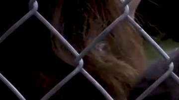 Captura de pantalla del video del Centro de Procesamiento de CBP en Texas.