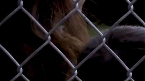 Captura de pantalla del video del Centro de Procesamiento de CBP en Texas.