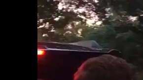 La secretaria Chao confrontó a los activistas.