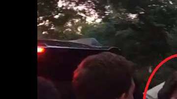 La secretaria Chao confrontó a los activistas.