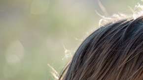 Los niños de hogares latinos pasan más tiempo en Internet.