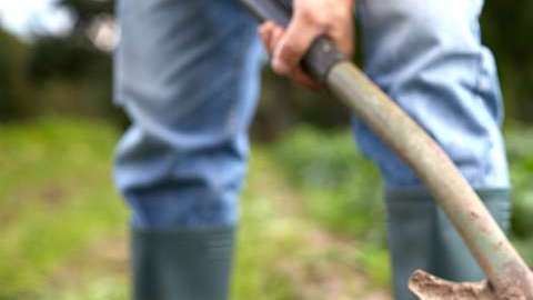 Su huerta ocultaba un crimen cometido en 1997.