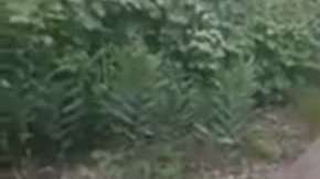 Sobreviviente dice que mucha gente quedó enterrada.