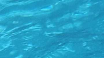 El fallecido Anthony Bourdain en compañía de su hija.