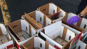 Parte del decomiso realizado por la DEA