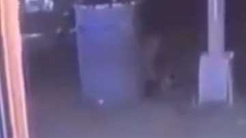 Los Trinitarios mataron a "Junior" en un "deli" en El Bronx.
