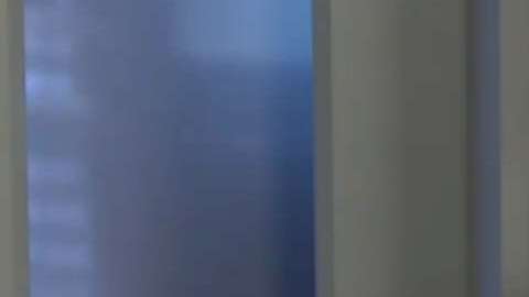 Cortés mostró su documento vigente hasta 2023.