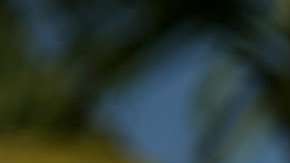 La mayoría de los venezolanos que pide asilo describe una situación de inseguridad e inestabilidad política en su país.