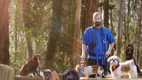 Este paseador de perros decidió no cesar su servicio a uno de sus clientes, sino hacerlo gratis.