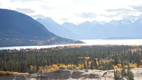 Es un hábitat único con especies desconocidas para la ciencia.