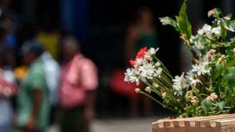 En Colombia han sido asesinados cerca de 100 líderes sociales  este año.