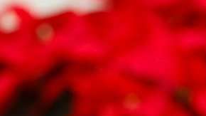 China acusa a EEUU por lanzar "la mayor guerra comercial".