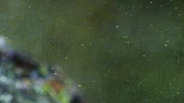 ¿Cuáles son los riesgos y potenciales beneficios de estas sustancias?