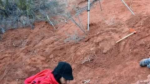 Los dinosaurios desparecieron hace más de 65 millones de años.