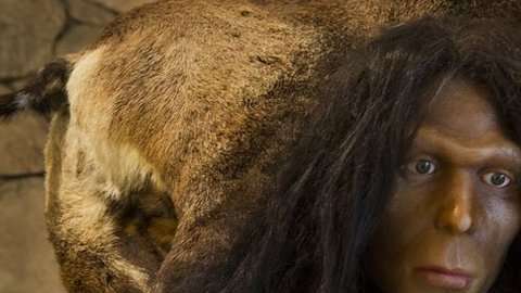 ¿Fue el Homo erectus el primer homínido que salió de África?