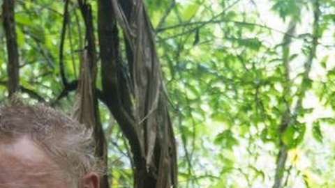 Elon Musk llamó a Vern Unsworth "pedófilo".