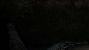 Los pobladores no tuvieron piedad con los animales.