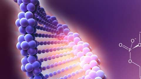 El CRISPR/Cas9 es una técnica de "corta pega".