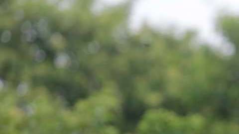 Masaya es una de las ciudades que ha puesto mayor resistencia al gobierno.