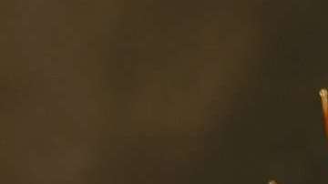 Un caracol lo cambió todo.