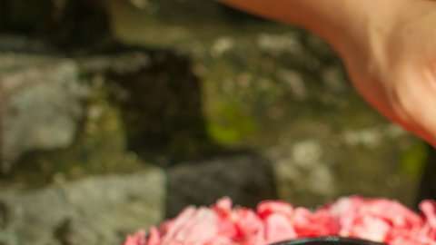 En la historia de la humanidad, los rituales siempre han estado vinculados a las plantas.