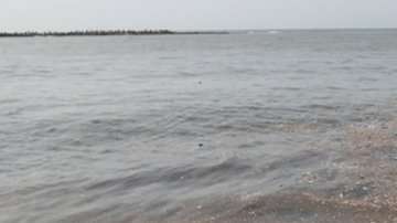 La tormenta Beryl pasó por República Dominicana el 12 de julio.