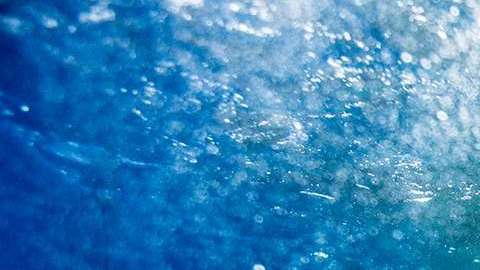 Los datos que envía Hilton ayudan a entender la migración.