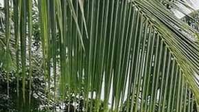 El derrumbe de una presa provoco inundaciones en varias aldeas.