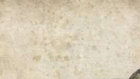 El nombre de la nueva especie es "Lingwulong shenqi", literalmente "asombroso dragón de Lingwu", la ciudad más cercana al lugar donde fueron hallados los fósiles.