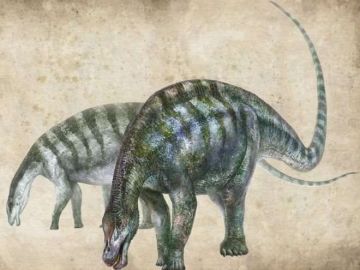 El nombre de la nueva especie es "Lingwulong shenqi", literalmente "asombroso dragón de Lingwu", la ciudad más cercana al lugar donde fueron hallados los fósiles.