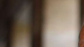 Theodore McCarrick, exarzobispo de Washington.