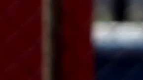 "Esto va a continuar hasta que todos los niños sean reunificados con sus padres".